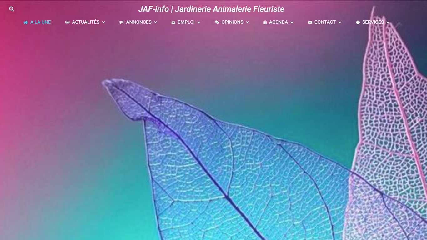 Page d'accueil du site JAF